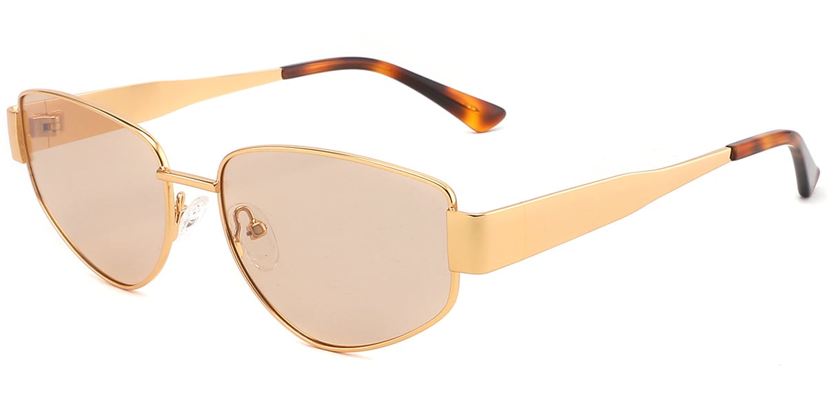 Acetate Geometric Sunglasses
